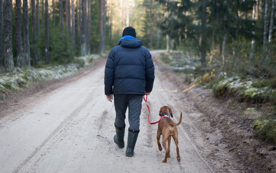 Kan Fido komme med på camping?