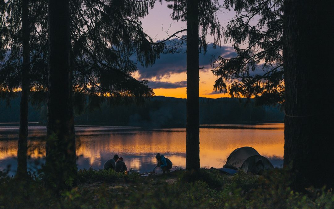 Stjernedrys på campingturen