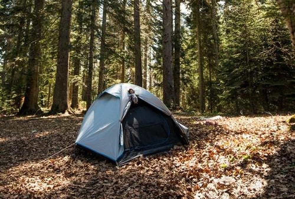 Camping i Sønderjylland